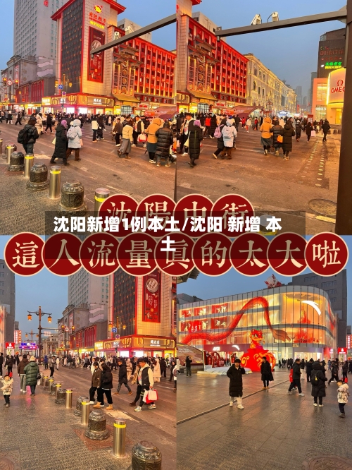 沈阳新增1例本土/沈阳 新增 本土-第2张图片