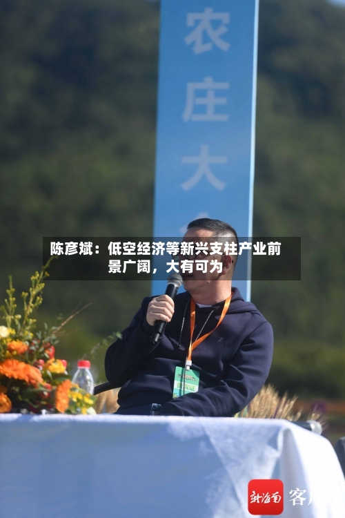 陈彦斌：低空经济等新兴支柱产业前景广阔，大有可为
