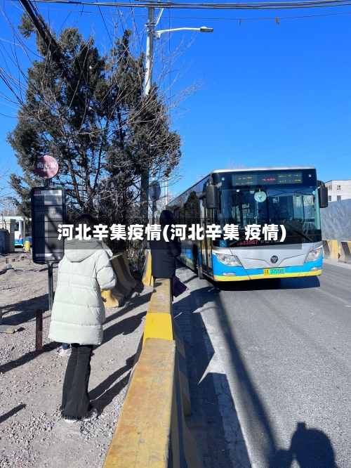 河北辛集疫情(河北辛集 疫情)