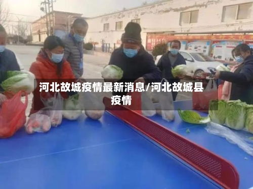河北故城疫情最新消息/河北故城县疫情-第3张图片