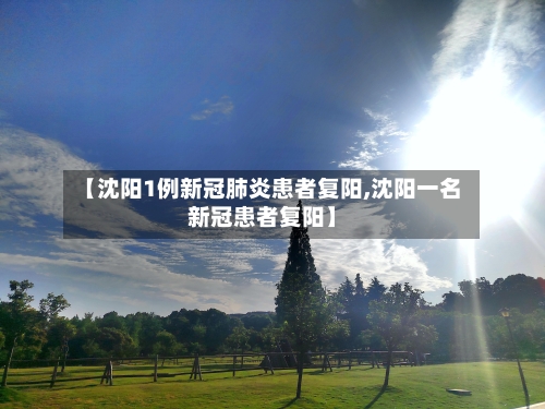 【沈阳1例新冠肺炎患者复阳,沈阳一名新冠患者复阳】