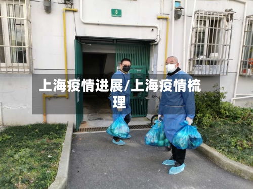 上海疫情进展/上海疫情梳理