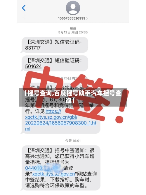 【摇号查询,百度摇号助手汽车摇号查询】