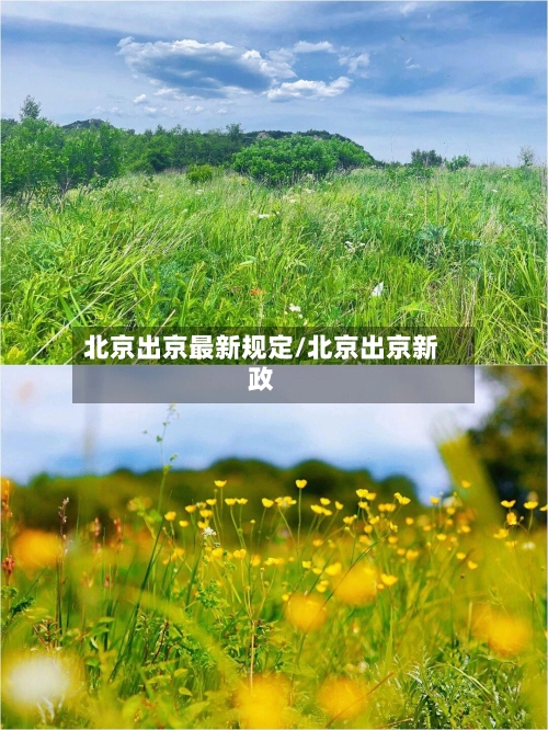 北京出京最新规定/北京出京新政-第3张图片