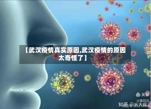 【武汉疫情真实原因,武汉疫情的原因太奇怪了】