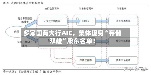 多家国有大行AIC，集体现身“存储双雄”股东名单！-第2张图片