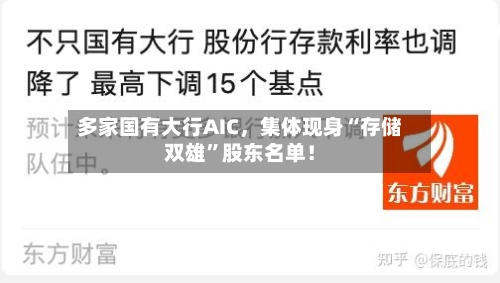 多家国有大行AIC，集体现身“存储双雄”股东名单！