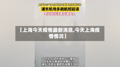 【上海今天疫情最新消息,今天上海疫情情况】-第2张图片
