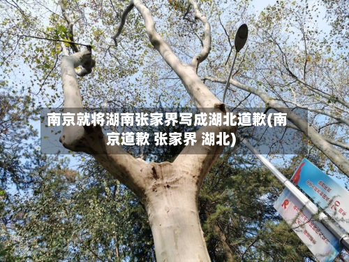 南京就将湖南张家界写成湖北道歉(南京道歉 张家界 湖北)-第2张图片