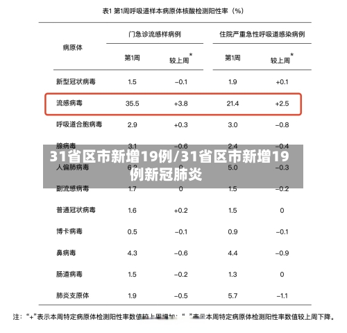 31省区市新增19例/31省区市新增19例新冠肺炎