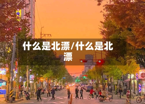 什么是北漂/什么是北漂