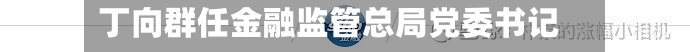 丁向群任金融监管总局党委书记