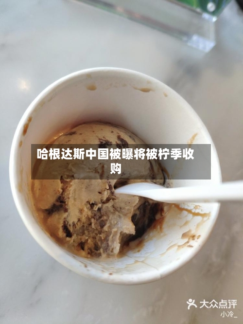 哈根达斯中国被曝将被柠季收购-第2张图片