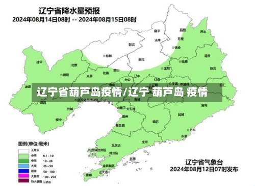 辽宁省葫芦岛疫情/辽宁 葫芦岛 疫情