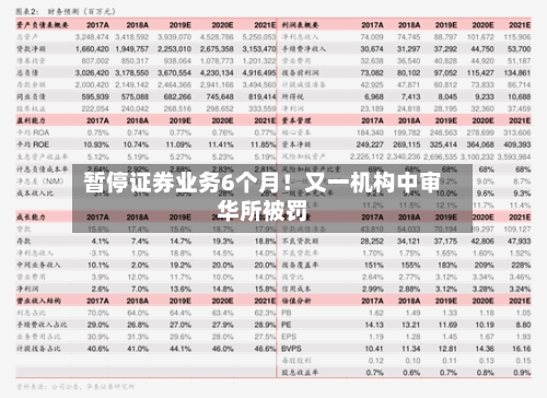 暂停证券业务6个月！又一机构中审华所被罚