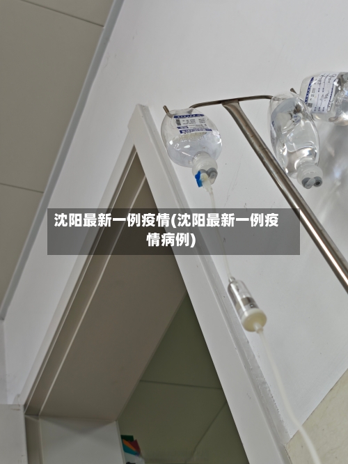 沈阳最新一例疫情(沈阳最新一例疫情病例)