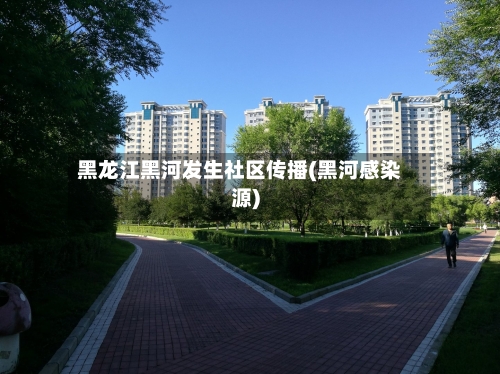 黑龙江黑河发生社区传播(黑河感染源)-第2张图片