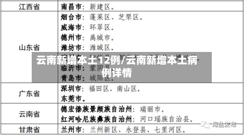 云南新增本土12例/云南新增本土病例详情-第3张图片