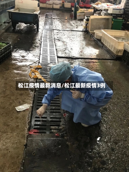 松江疫情最新消息/松江最新疫情3例-第2张图片