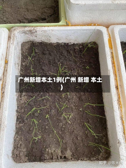 广州新增本土1例(广州 新增 本土)