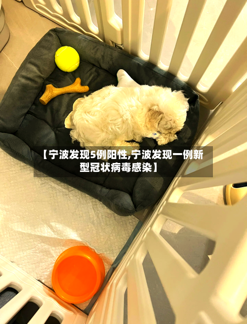【宁波发现5例阳性,宁波发现一例新型冠状病毒感染】-第3张图片