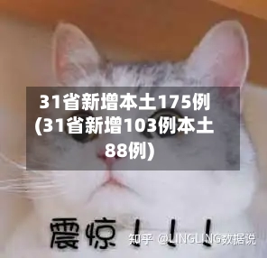 31省新增本土175例(31省新增103例本土88例)-第2张图片