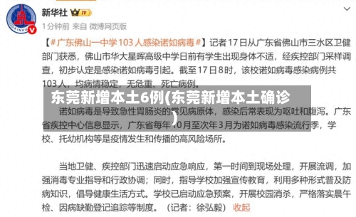 东莞新增本土6例(东莞新增本土确诊)-第3张图片