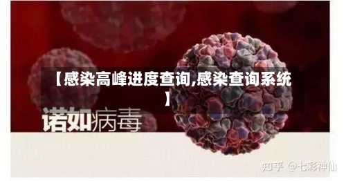 【感染高峰进度查询,感染查询系统】-第3张图片