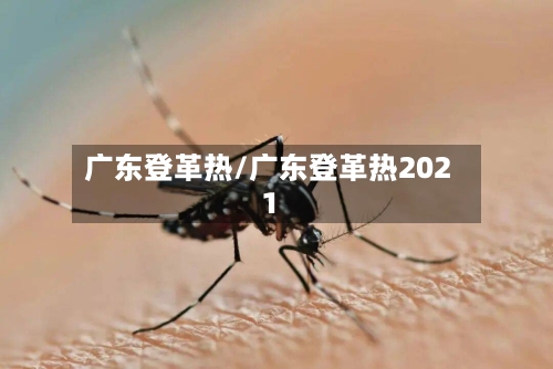 广东登革热/广东登革热2021