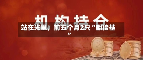 站在光里，前五个月2只“翻倍基”-第2张图片