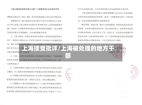 上海接受批评/上海被处理的地方干部