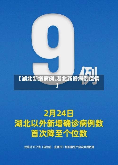 【湖北新增病例,湖北新增病例疫情】