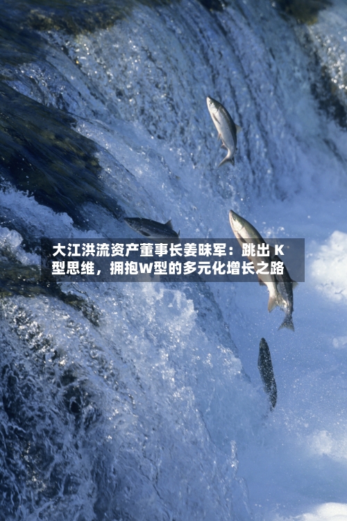 大江洪流资产董事长姜昧军：跳出 K 型思维，拥抱W型的多元化增长之路-第2张图片