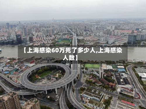 【上海感染60万死了多少人,上海感染人数】-第2张图片