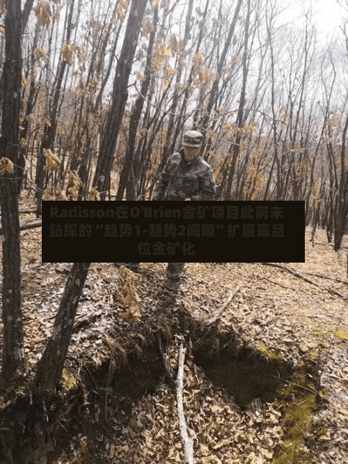 Radisson在O'Brien金矿项目此前未钻探的“趋势1-趋势2间隙”扩展高品位金矿化