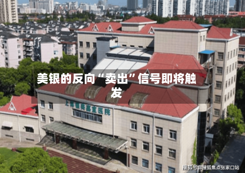 美银的反向“卖出	”信号即将触发-第2张图片