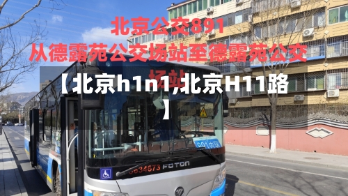 【北京h1n1,北京H11路】