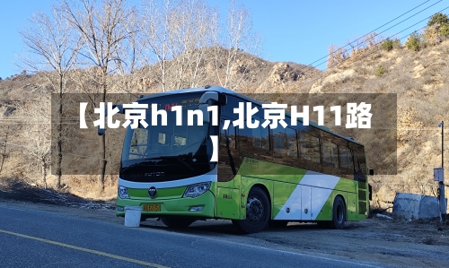【北京h1n1,北京H11路】-第3张图片