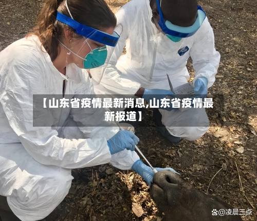 【山东省疫情最新消息,山东省疫情最新报道】