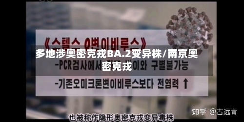 多地涉奥密克戎BA.2变异株/南京奥密克戎-第2张图片