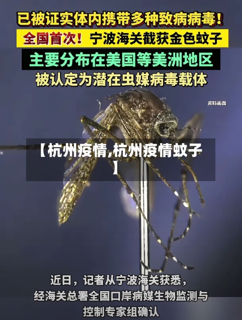 【杭州疫情,杭州疫情蚊子】