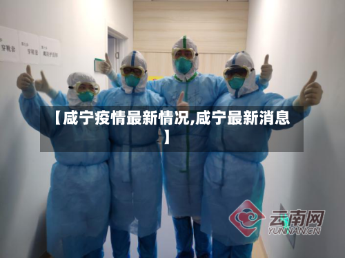 【咸宁疫情最新情况,咸宁最新消息】-第2张图片