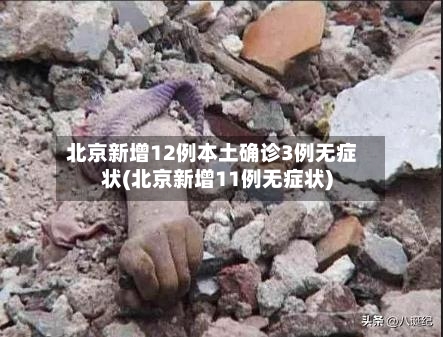 北京新增12例本土确诊3例无症状(北京新增11例无症状)-第2张图片