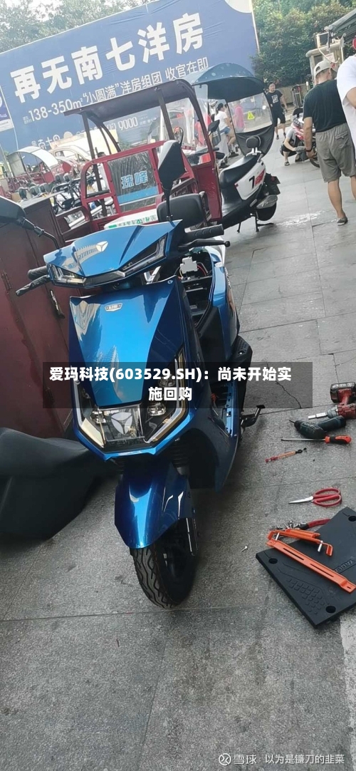 爱玛科技(603529.SH)：尚未开始实施回购