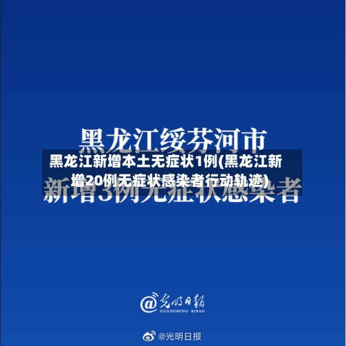 黑龙江新增本土无症状1例(黑龙江新增20例无症状感染者行动轨迹)-第2张图片