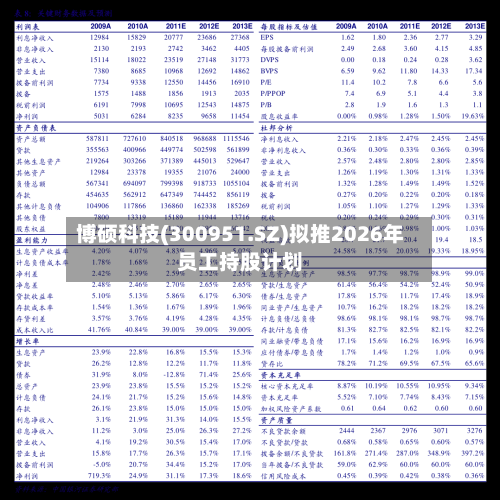 博硕科技(300951.SZ)拟推2026年员工持股计划