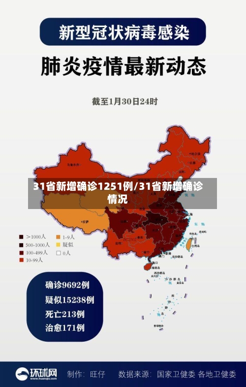 31省新增确诊1251例/31省新增确诊情况