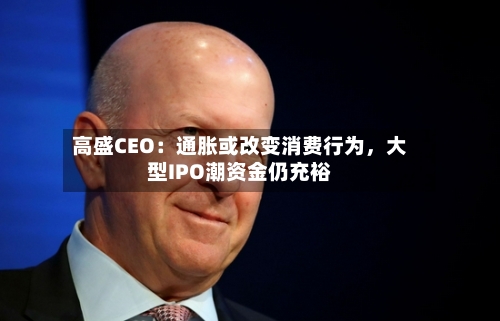 高盛CEO：通胀或改变消费行为，大型IPO潮资金仍充裕