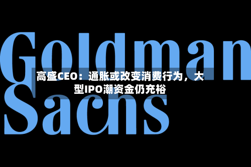 高盛CEO：通胀或改变消费行为，大型IPO潮资金仍充裕-第3张图片