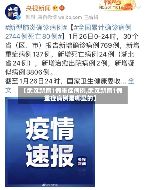 【武汉新增1例重症病例,武汉新增1例重症病例是哪里的】-第2张图片
